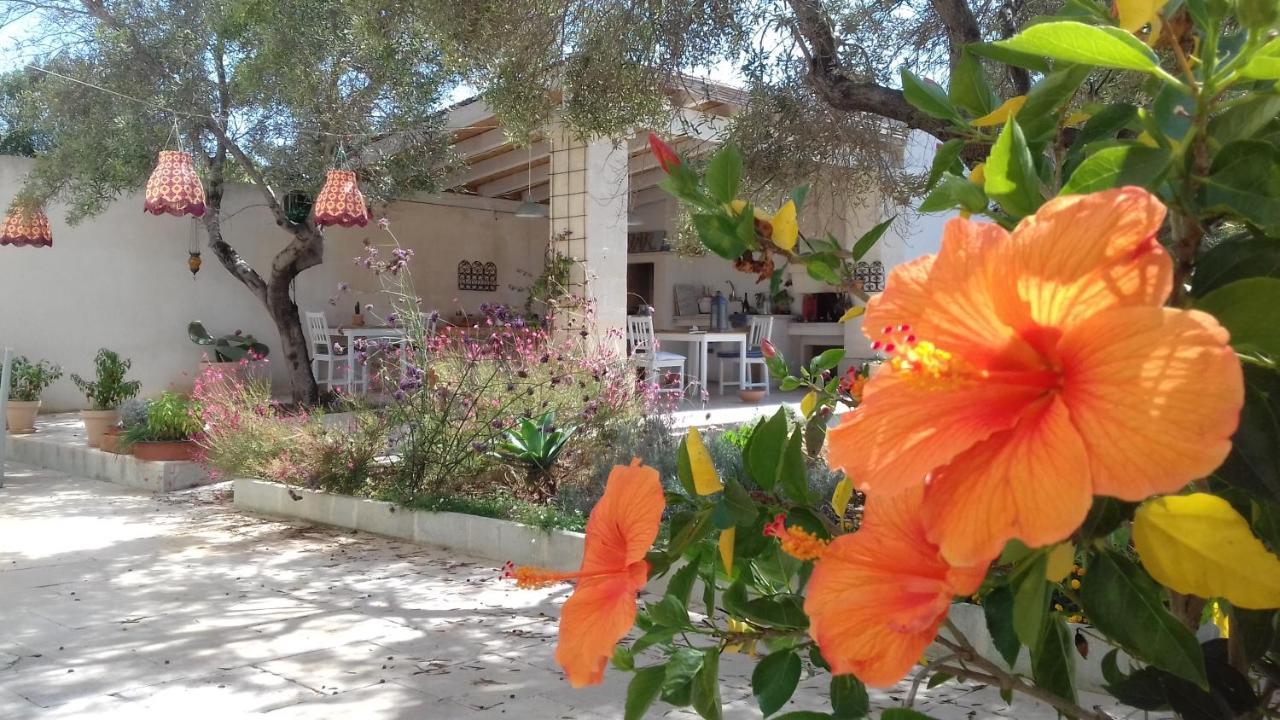 The Proud Garden Bed and Breakfast Carovigno Eksteriør billede